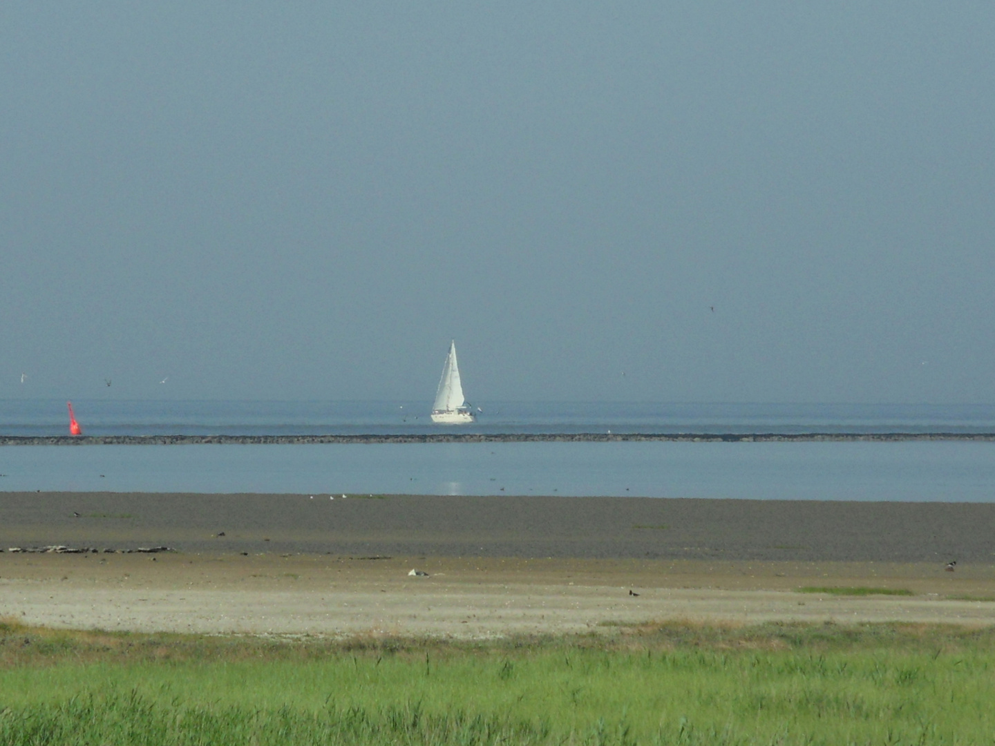 Borkum, Wattlandschaft