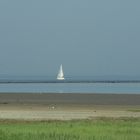 Borkum, Wattlandschaft