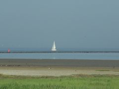 Borkum, Wattlandschaft