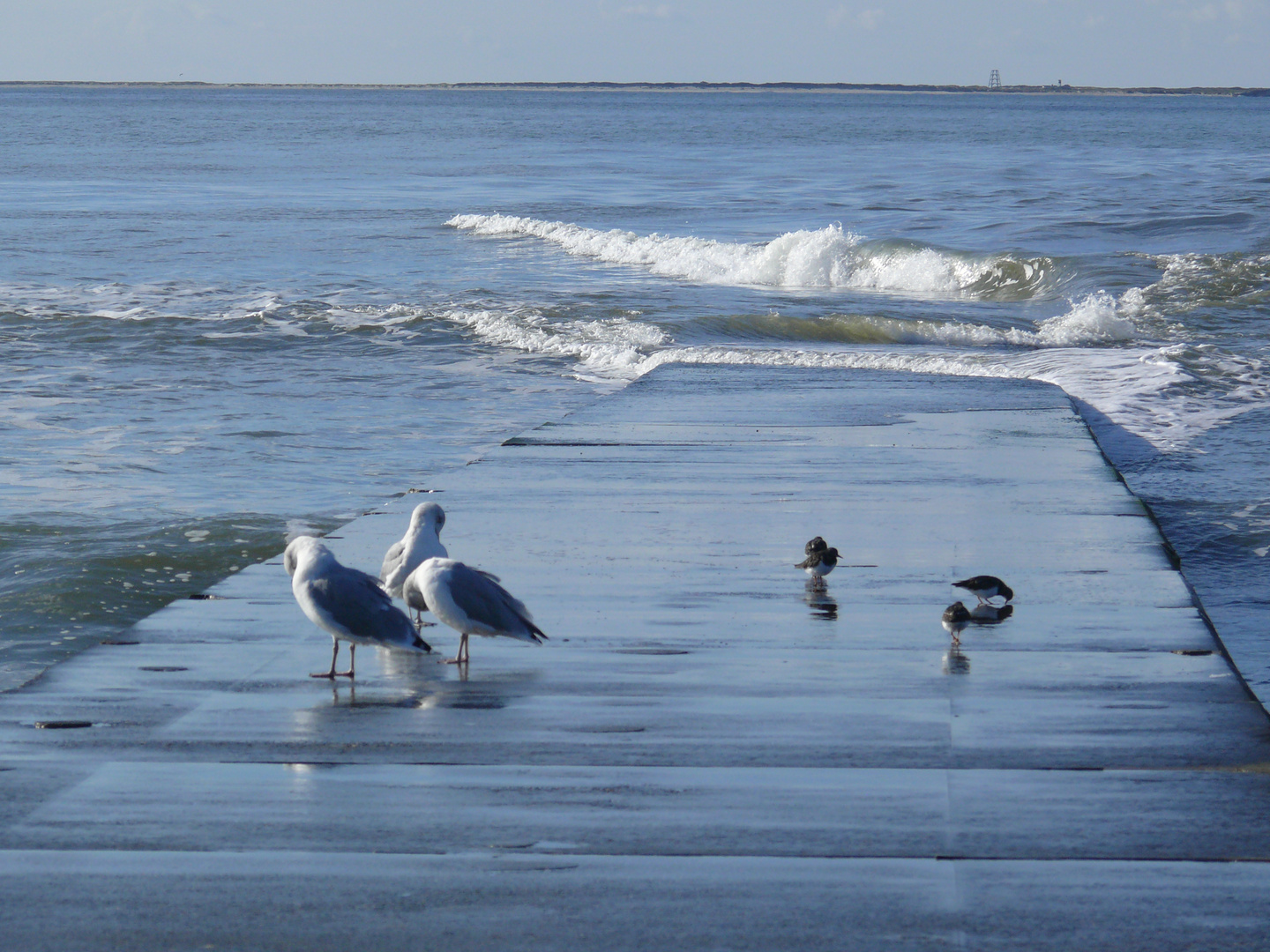 Borkum - Wellness auf der Buhne*