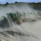 Borkum - Wenn der Sturm kräftig bläst ...