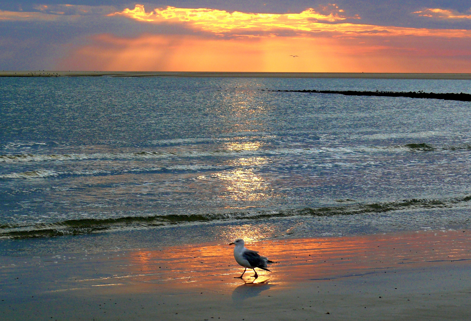 Borkum - Wenn die Sonne im Wasser versinkt