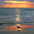 Borkum - Wenn die Sonne im Wasser versinkt