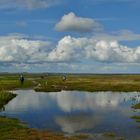 Borkum - Wetter für eine erlebnisreiche Wattwanderung