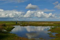 Borkum - Wetter für eine erlebnisreiche Wattwanderung