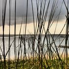 Borkum wie ich es liebe