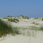 Borkum - Wie in der Karibik