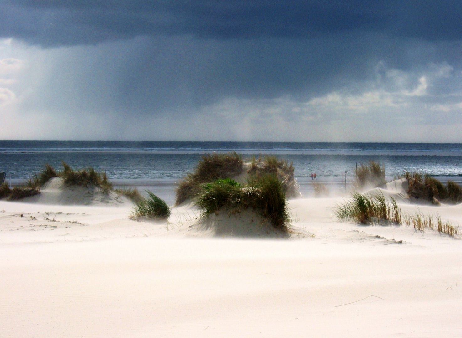 Borkum - windig