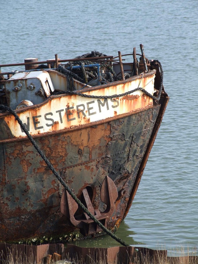 Borkum - Wrack im Yachthaven...