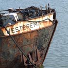 Borkum - Wrack im Yachthaven...