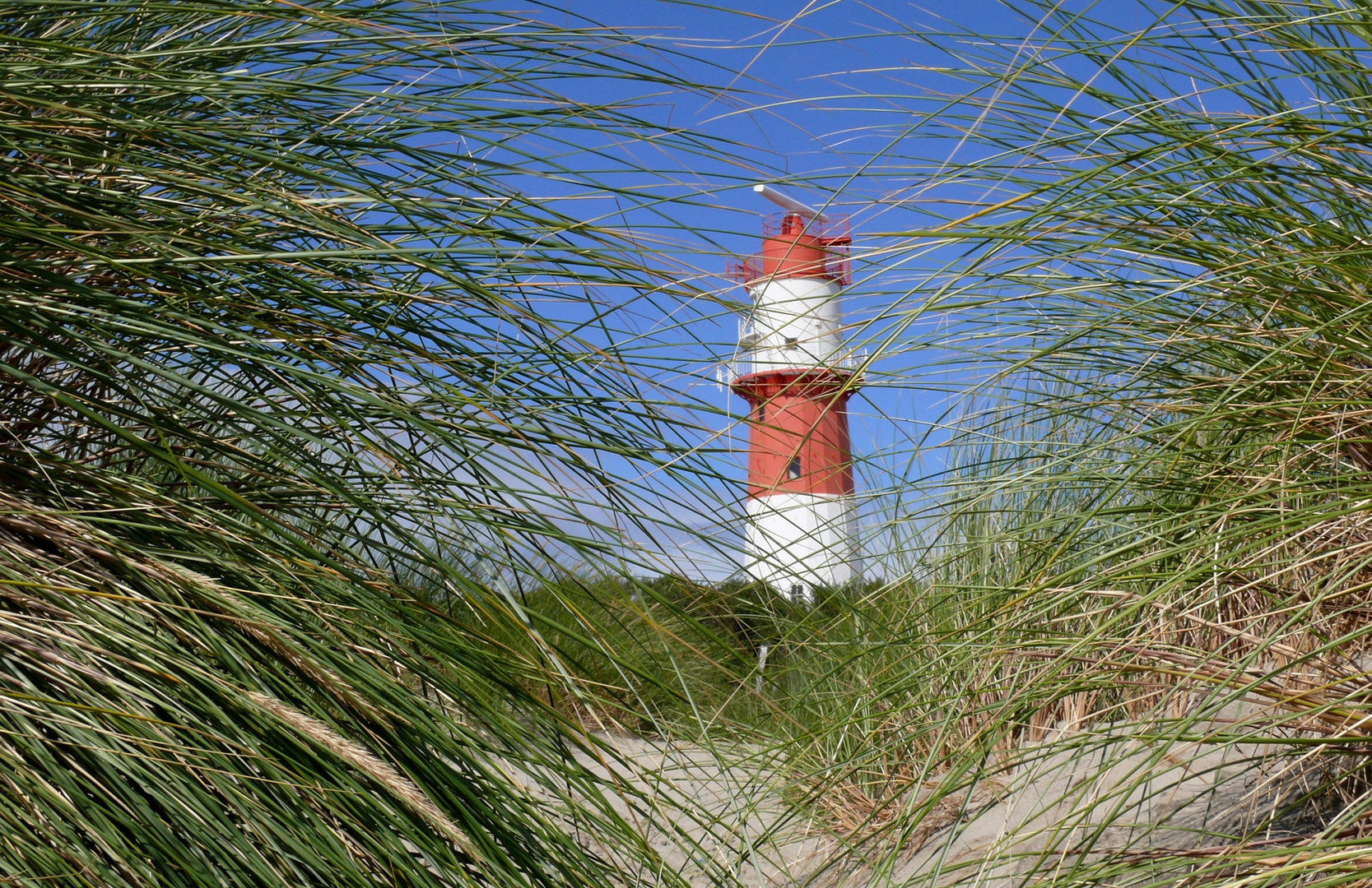 Borkum - Zwischen den Strandhaferhalmen ...