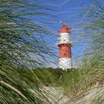 Borkum - Zwischen den Strandhaferhalmen ...