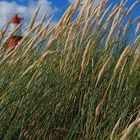 Borkum3