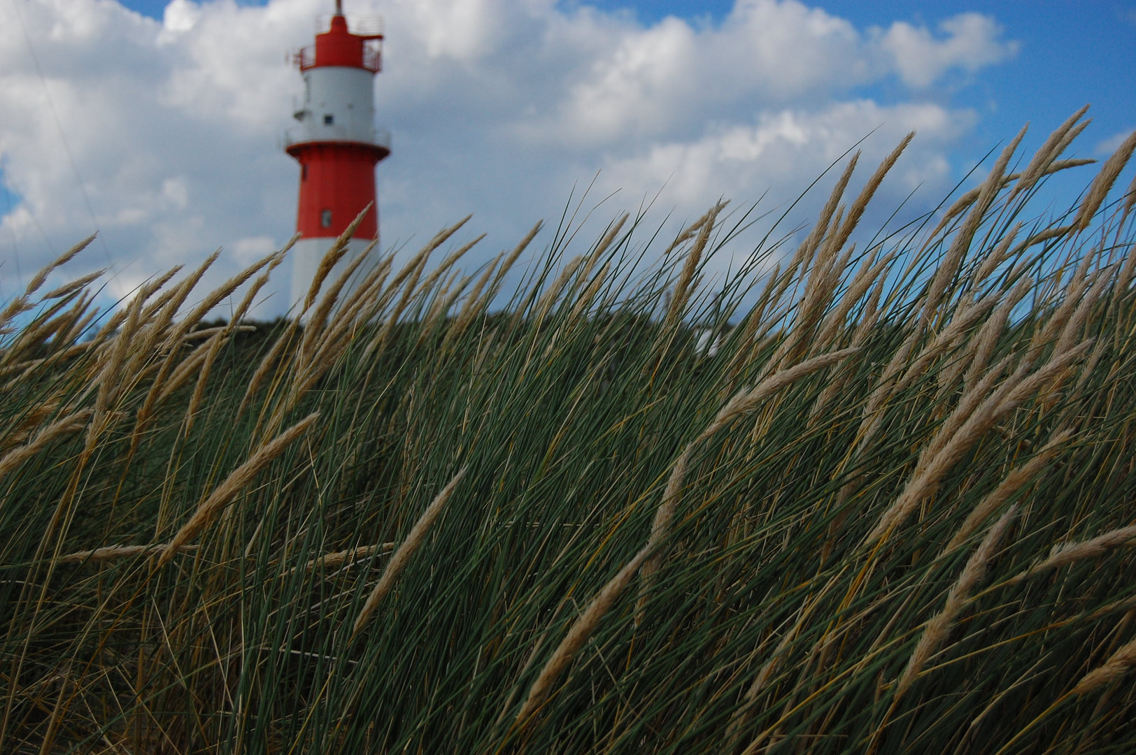 Borkum4