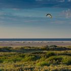 Borkum4