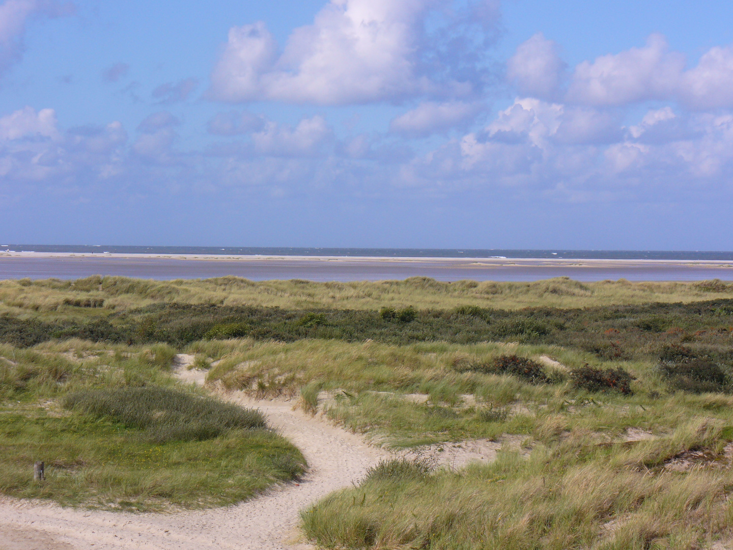 Borkumer Dünenlandschaft