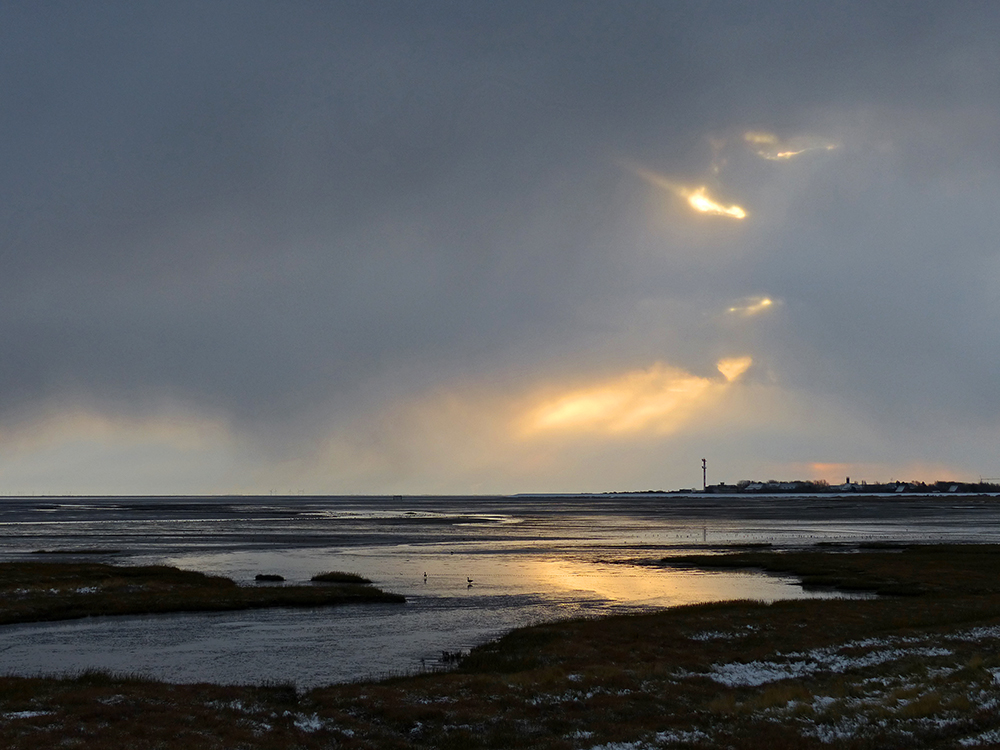 Borkumer Hafen im Morgenlicht