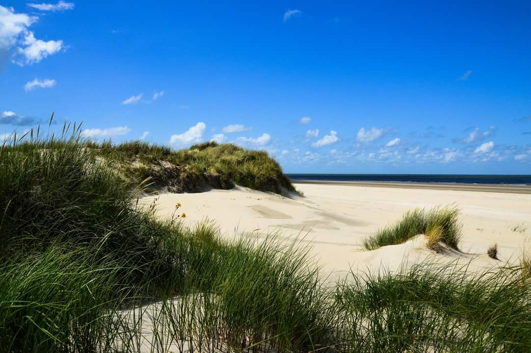 Borkum/Hoge Hörn  - ein fast menschenleeres Stück Paradies an der Nordsee...