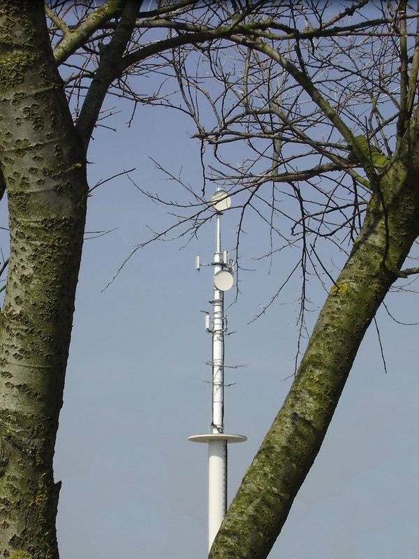 Borkum´s Natur und Technik