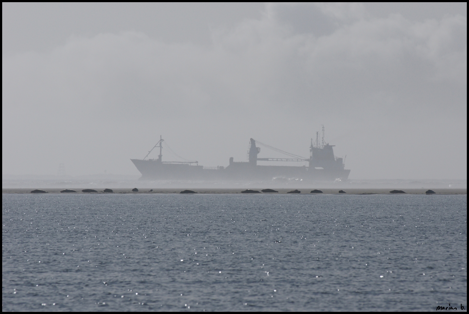 borkum.seal-bank