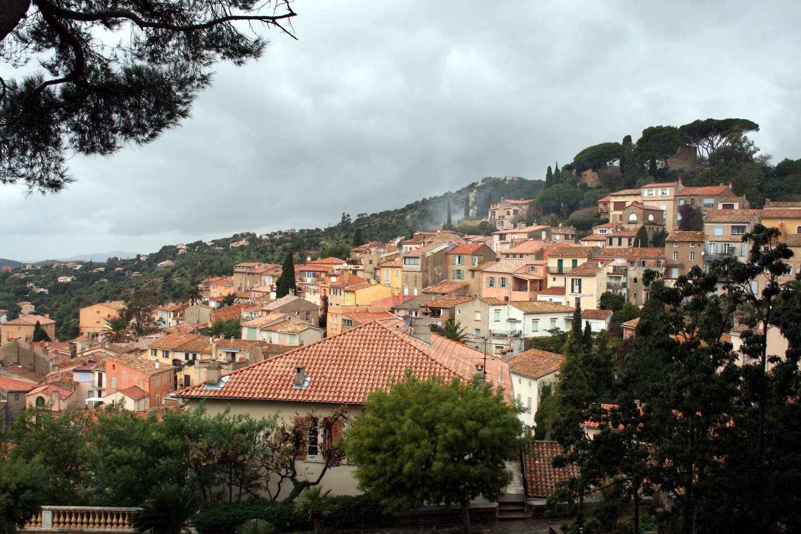 Bormes les Mimosas