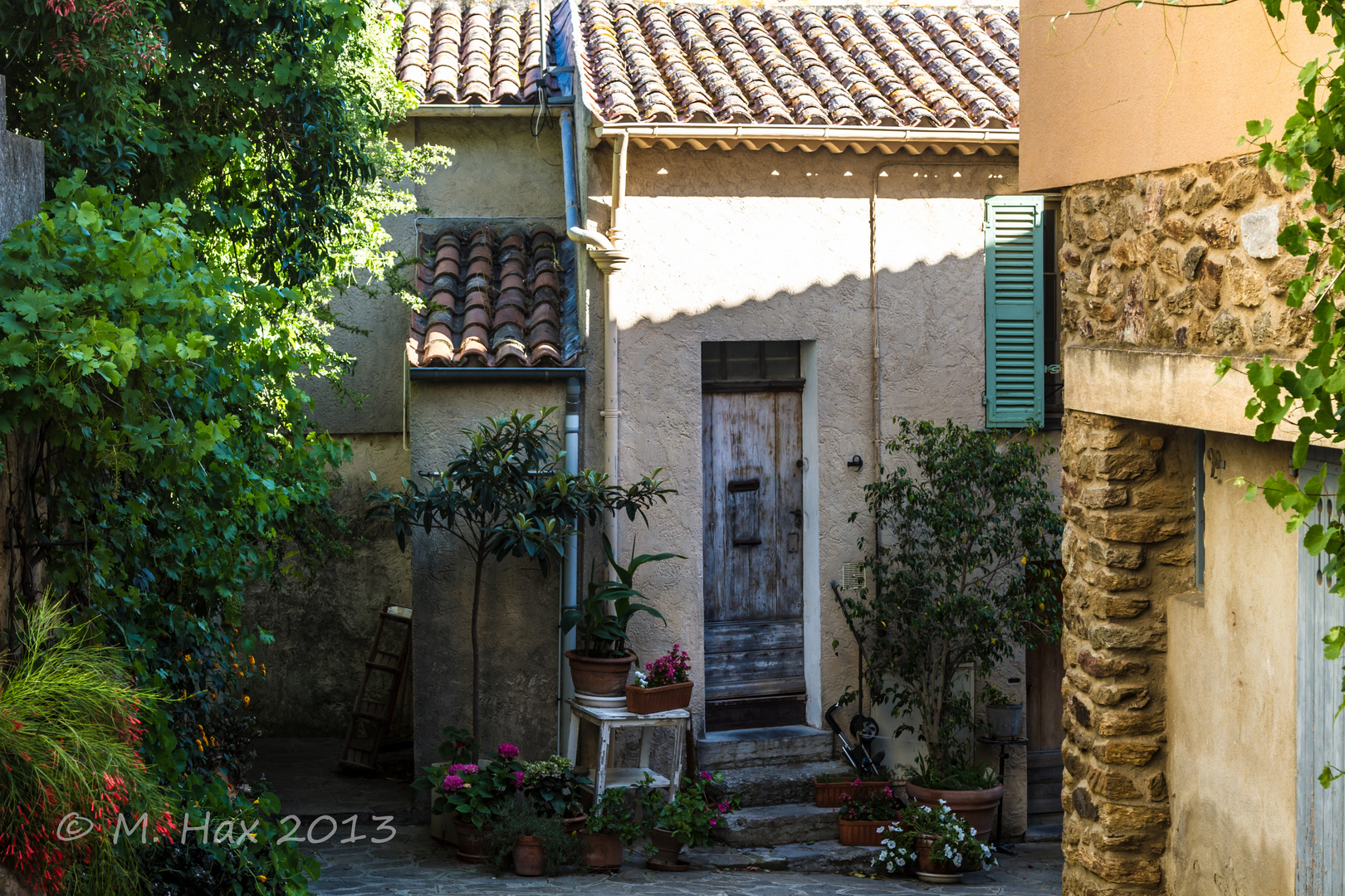 Bormes les Mimosas