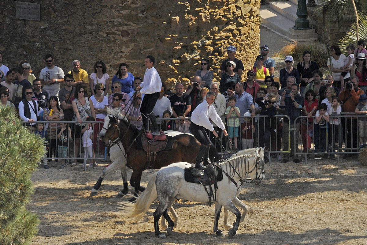 Bormes médiéval 2016 (Pentecôte): Reiterspiele / Jeux des Chevaliers