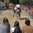 Bormes médiéval 2016: Reiter-Action war bei der Jugend sehr beliebt!