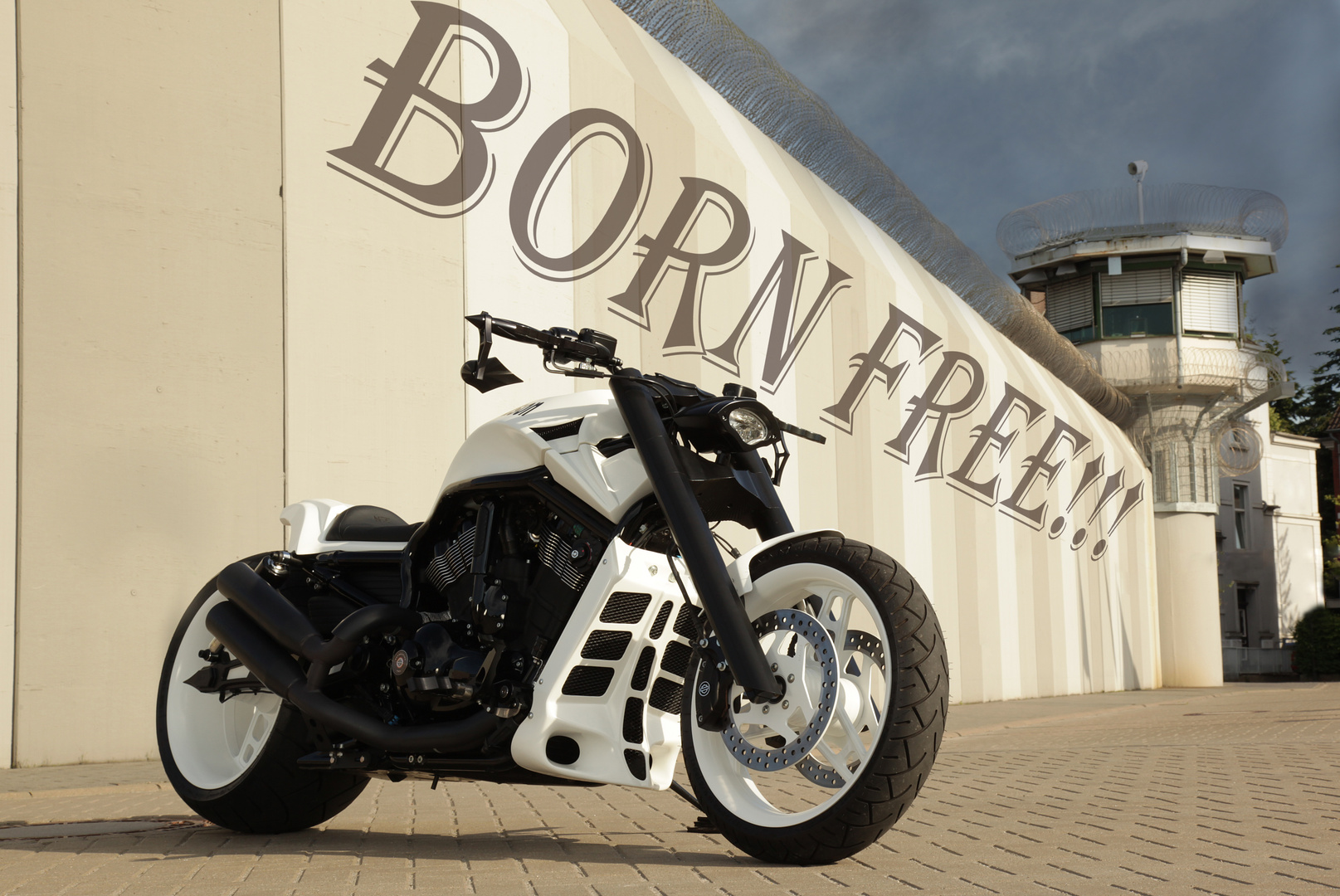 Born FREE!!!