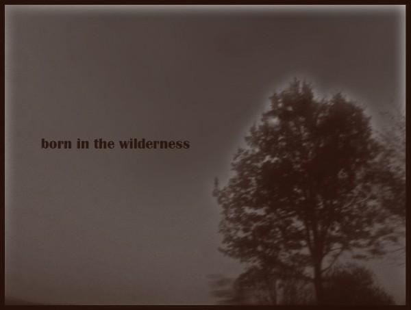 born in the wilderness.