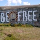 born to be free