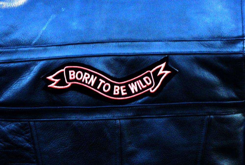 Born to be Wild