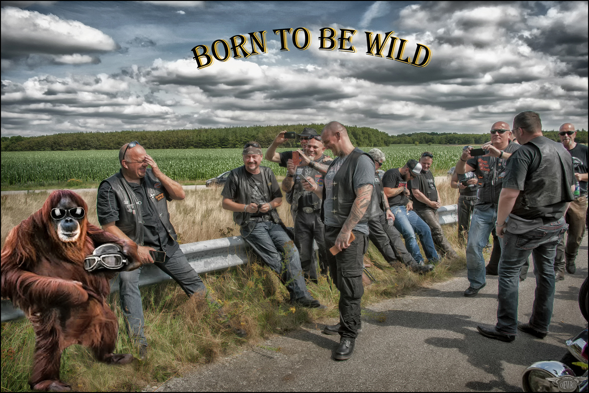 BORN-TO-BE-WILD...