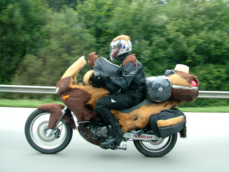 "Born to be wild" oder "Ich glaub mein Motorrad kriegt Haare"