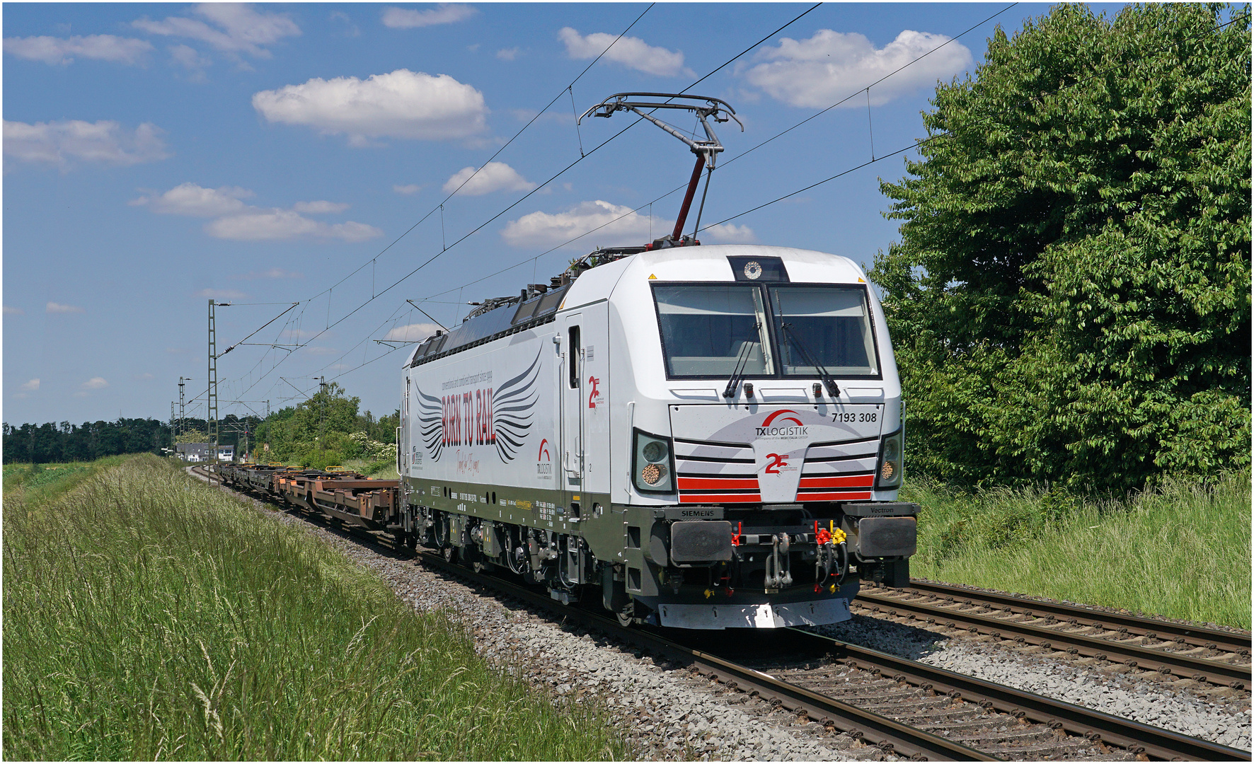 BORN TO RAIL