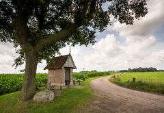 Borne - De Baken - Mariakapel De Zendersche Esch - 04