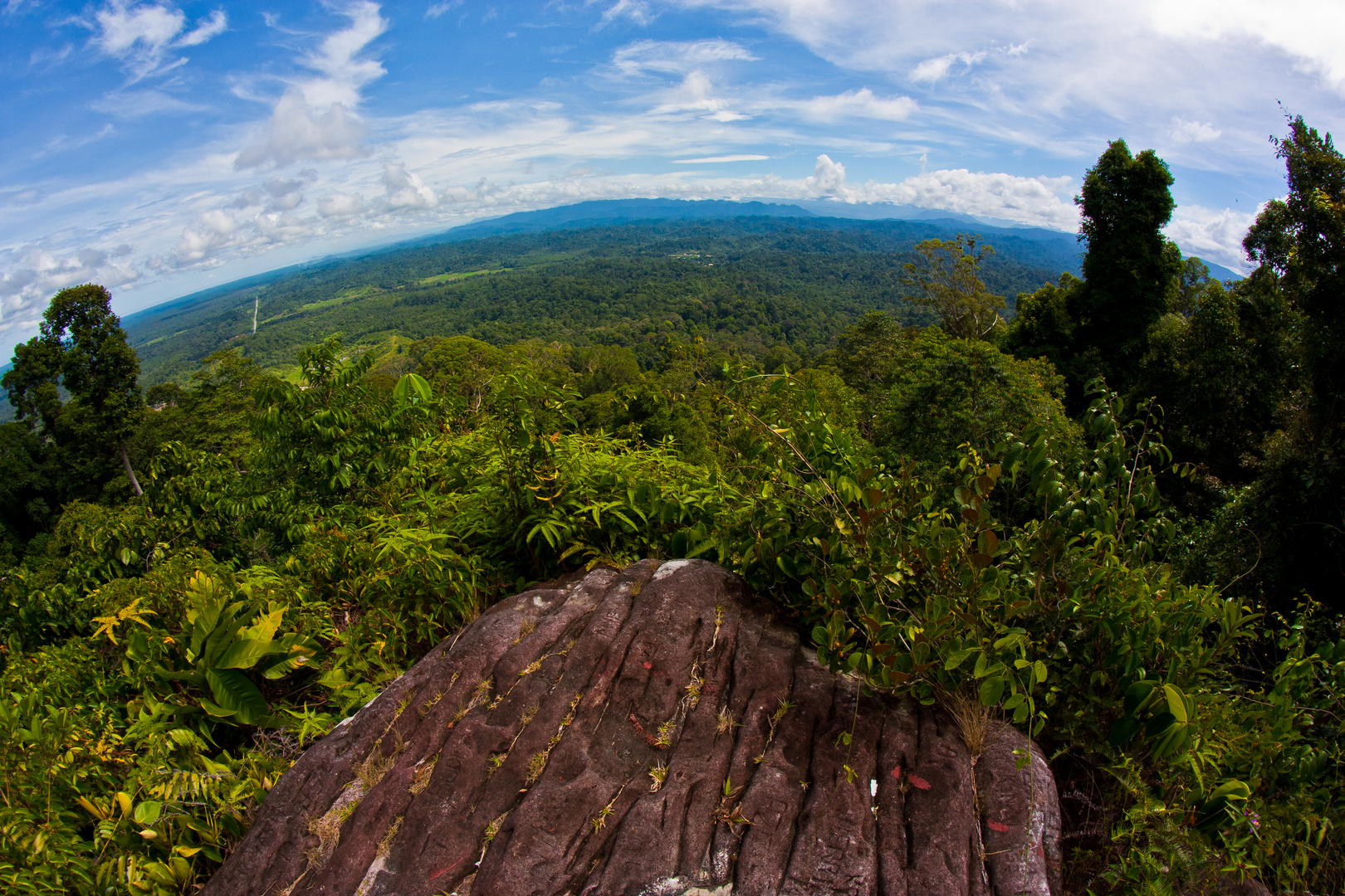 Borneo!!!