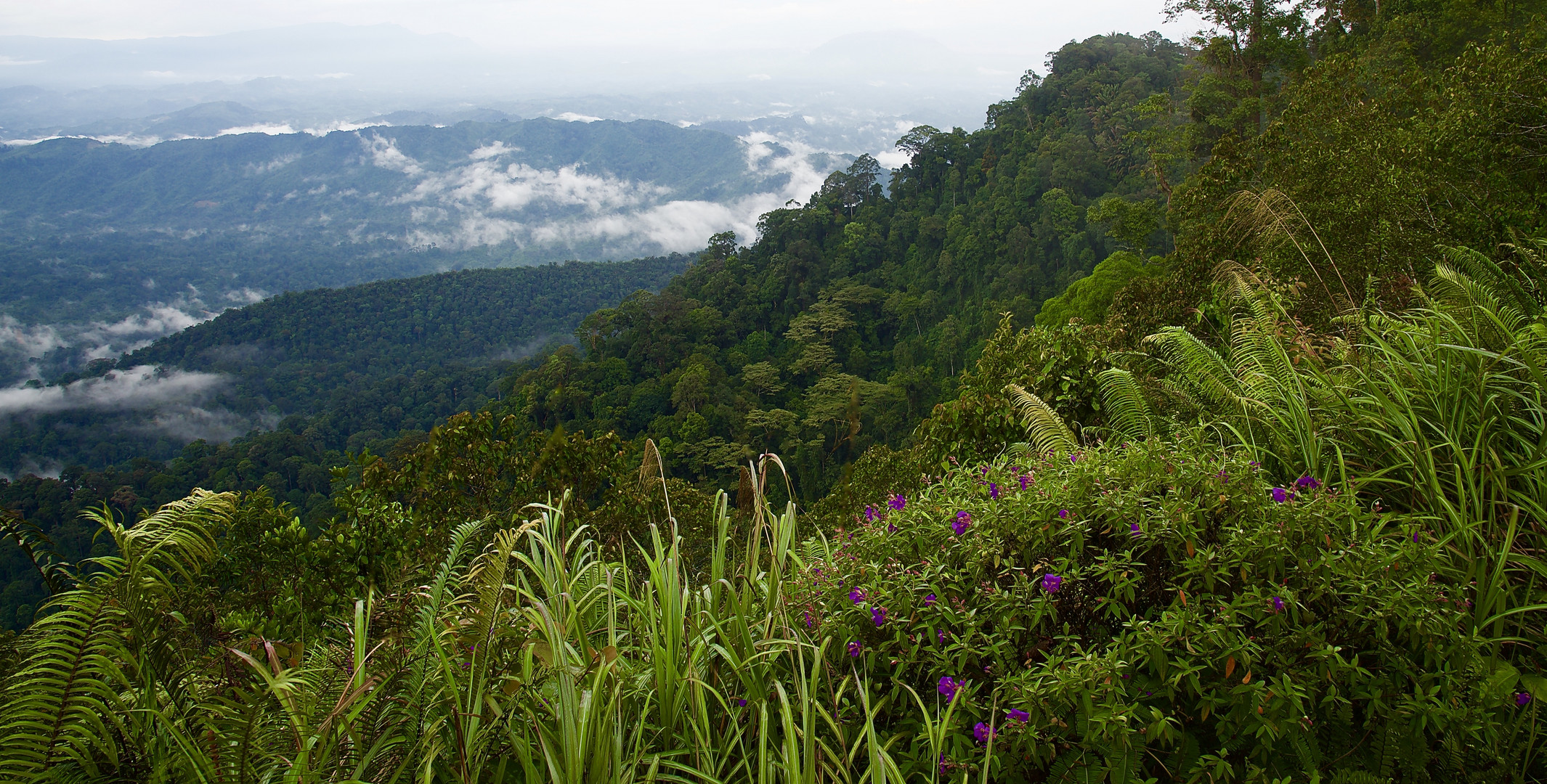 Borneo-Blick auf Kalimantan