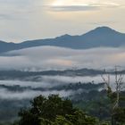 Borneo im Morgennebel