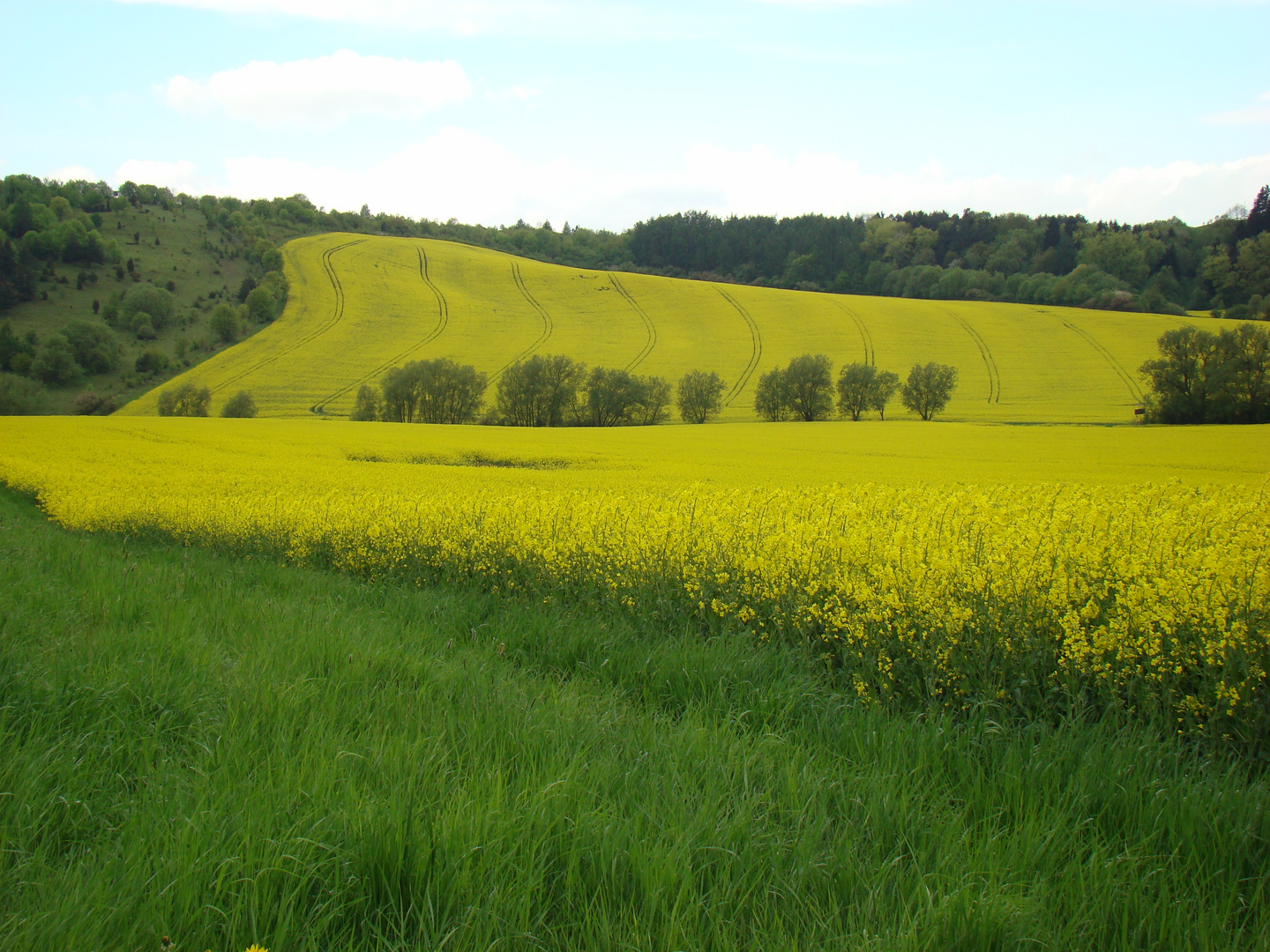 Bornhagen (2)