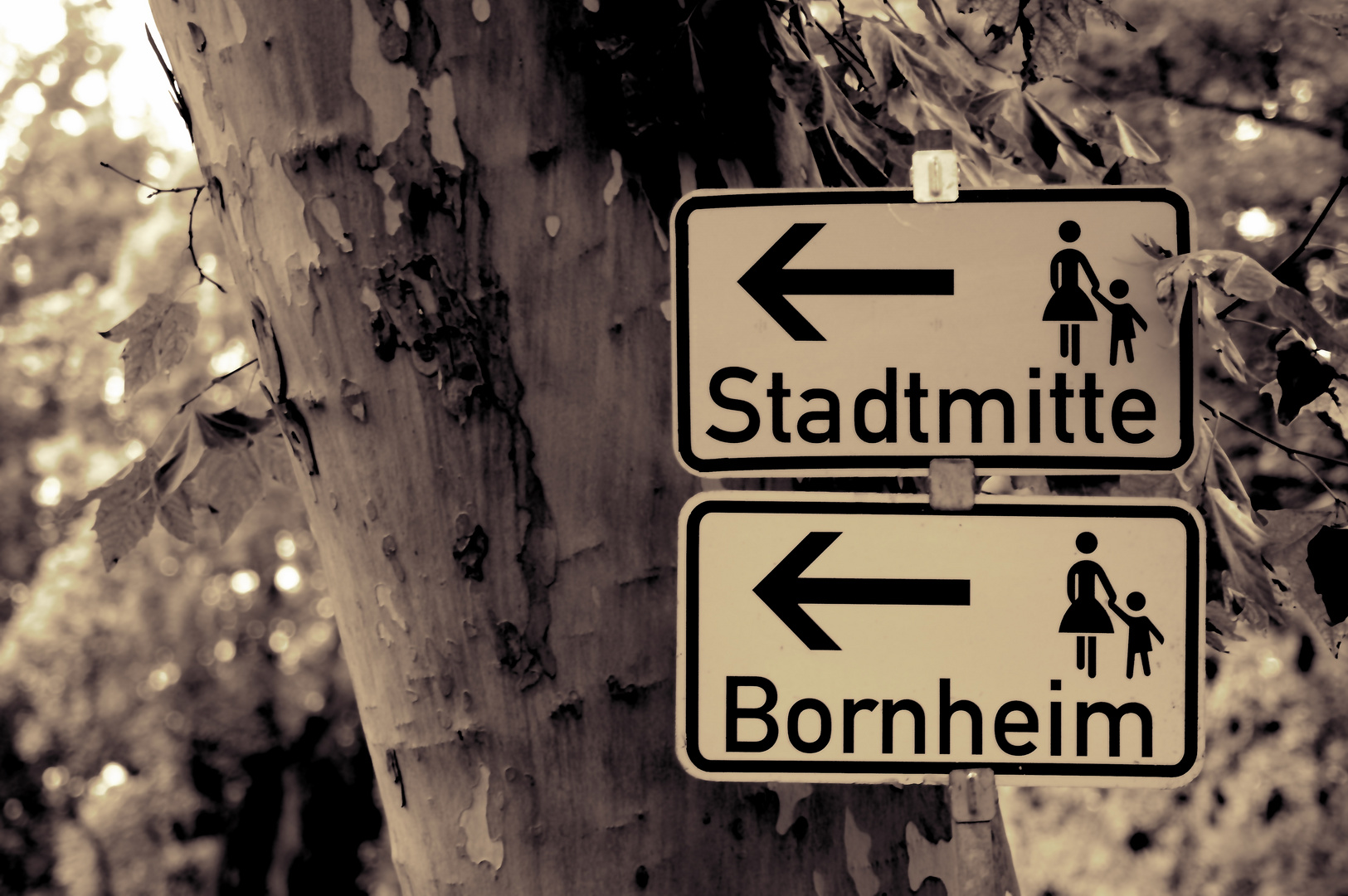 Bornheim