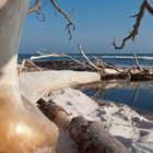 Bornholm, am Strand