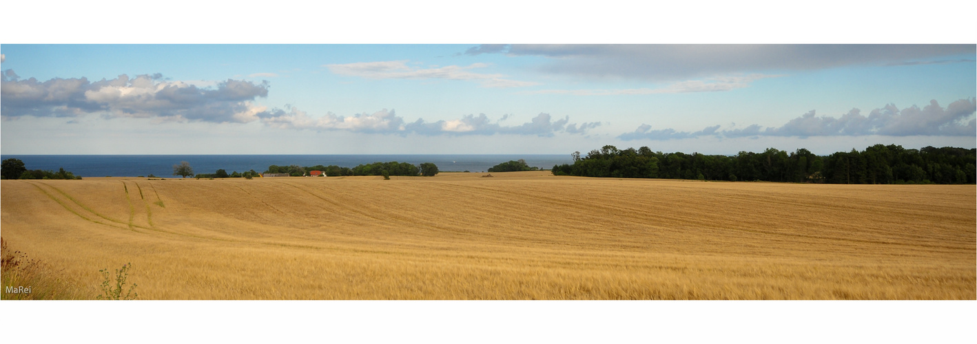 Bornholm - Horizont