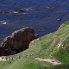 Bornholm Nordküste