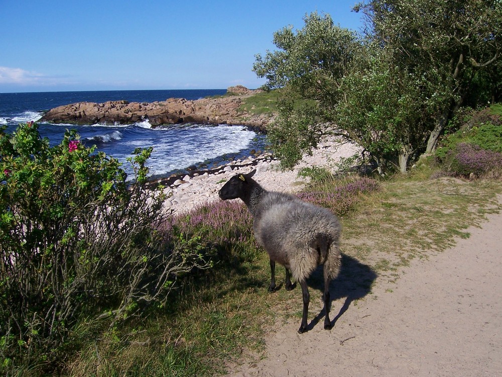 Bornholm - Sightseeing im Norden