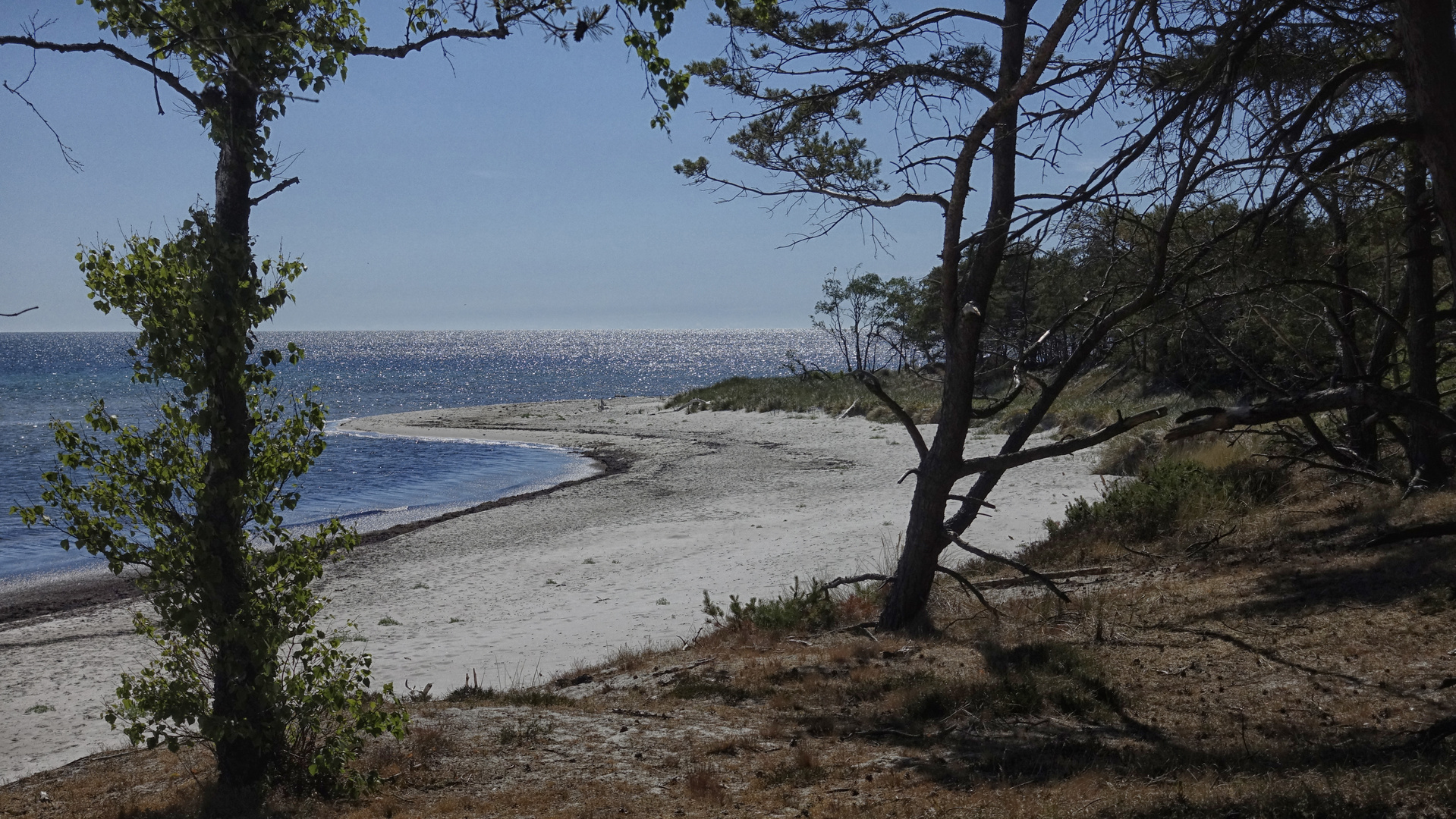 Bornholm Strand bei Dueodde