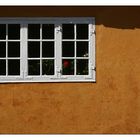 Bornholmer Fenster ...