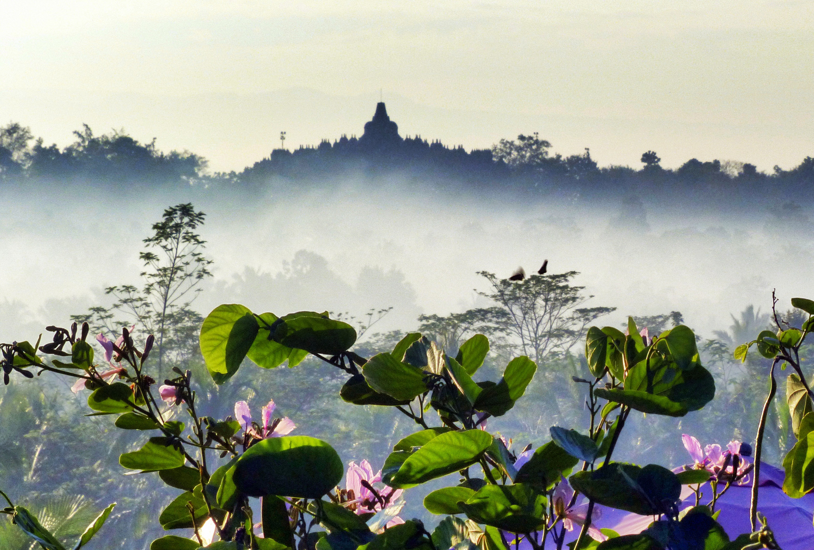 Borobudur 2