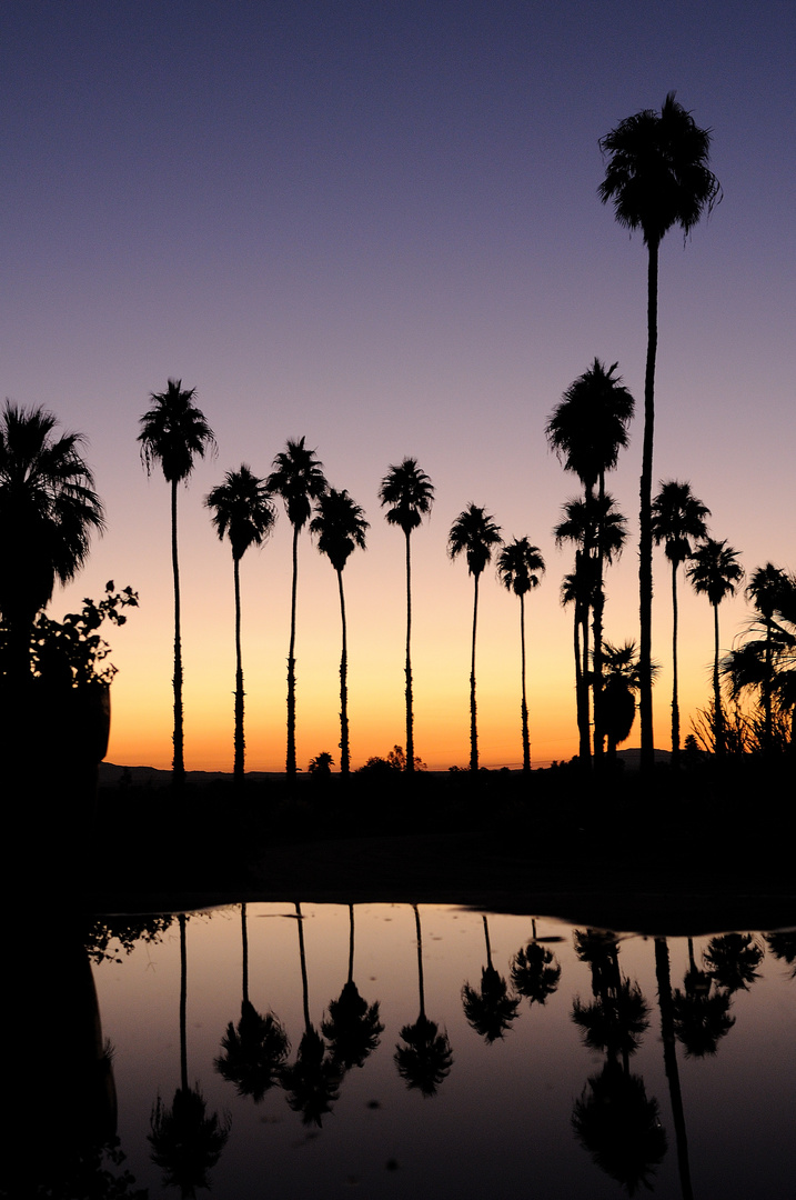 Borrego Springs - 5.45 am