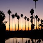 Borrego Springs - 5.45 am